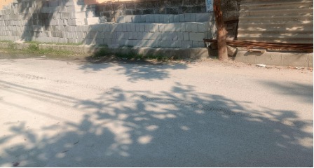 Bangalore Walkway