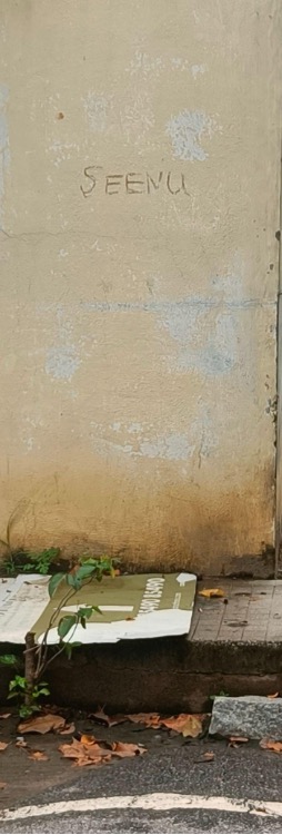 Wall Graffiti