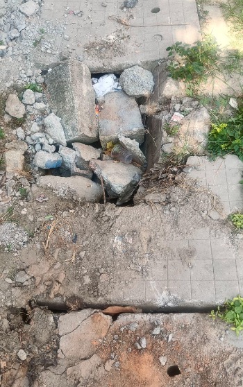 Bangalore Walkway