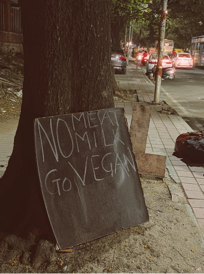 Vegan Graffiti GTK