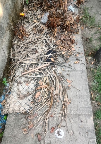 Bangalore Walkway