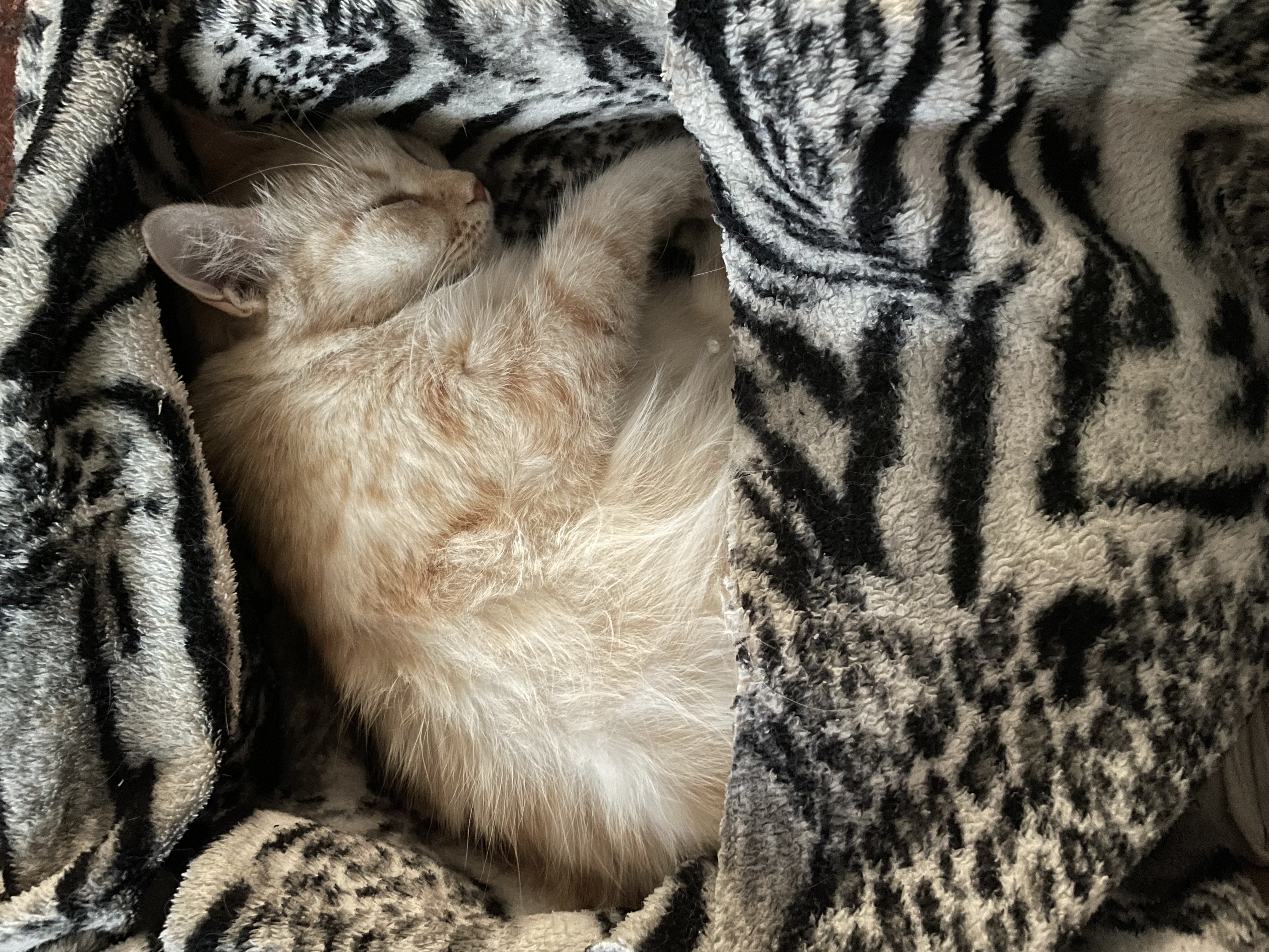 Until Wherever You Are, My Little One