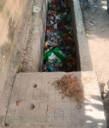 Bangalore Walkway