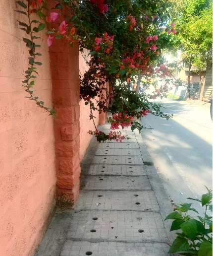 Bangalore Walkway